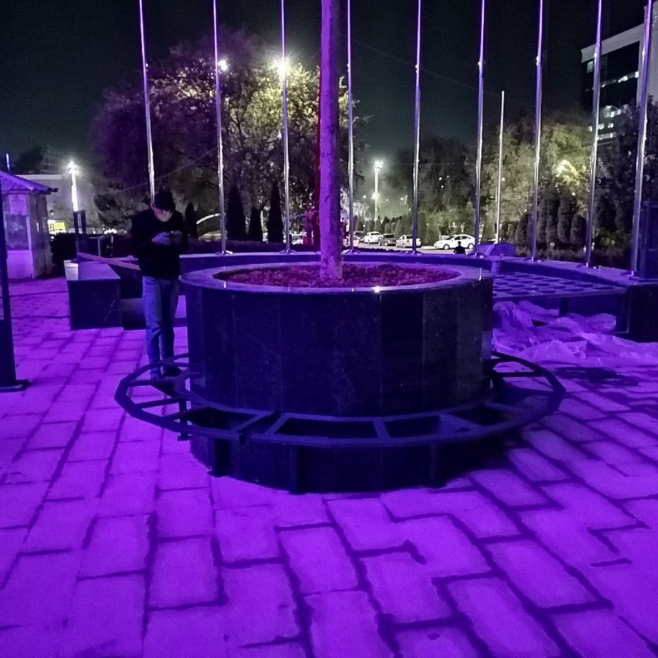 Circular metal structure installed around a tree